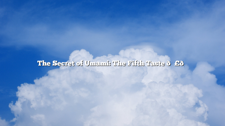 The Secret of Umami: The Fifth Taste 🍣🍜
